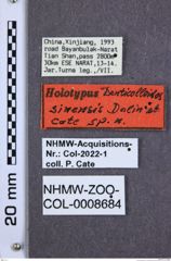 Etiketten zu Denticolloides sinensis (NHMW-ZOO-COL-0008684)